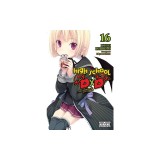 High School DXD, Vol. 16 (Light Novel)