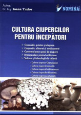 Cultura ciupercilor pentru incepatori foto