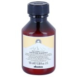 Davines Naturaltech Purifying Shampoo sampon pentru curatare anti matreata 100 ml