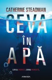Ceva in apa - Nemira