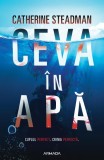 Ceva in apa