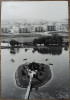 Lacul de la Gara, Sfantu Gheorghe// fotografie de presa