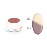 Gel color termic - PEARL BROWN/PEARL LIGHT SILVER, 5g