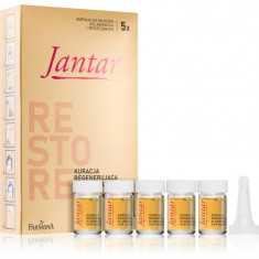 Farmona Jantar Amber Essence tratament pentru regenerarea părului deteriorat 5x5 ml