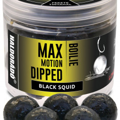 Haldorado - Boilies-uri Max Motion Boilie Dipped 20mm, 80g - Black Squid