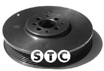 Fulie curea, arbore cotit VW SHARAN (7M8, 7M9, 7M6) (1995 - 2010) STC T404290 foto