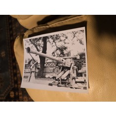 Fotografie tun antiaerian naval