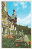 Bnk cp Sinaia - Muzeul Peles - necirculata, Printata