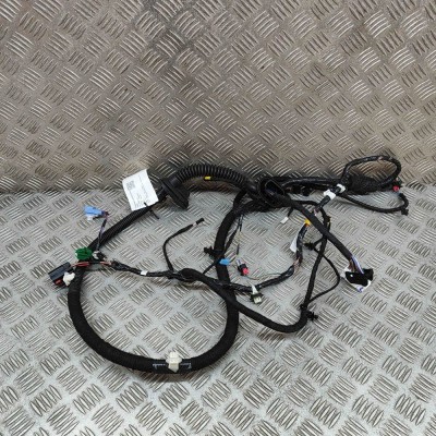 Cablaj ușă dreapta față TESLA MODEL Y 2022 OEM: 1489052-02-E 25291067 foto