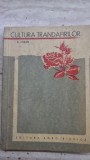 CULTURA TRANDAFIRILOR - E. LUBAN