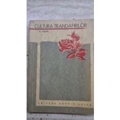 CULTURA TRANDAFIRILOR - E. LUBAN