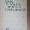 Rima in poezia populara romaneasca- Nicolae Constantinescu