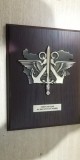 D16 11 - Placheta - tematica militara - seful armatei din Bulgaria, Europa