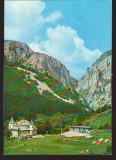CPIB 22938 - CARTE POSTALA - CHEILE TURZII, VEDERE, NECIRCULATA