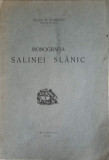 MONOGRAFIA SALINEI SLANIC-M. STAMATIU