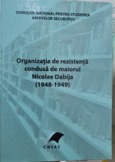 REZISTENTA ARMATA ANTICOMUNISTA ORGANIZATIA MAIORULUI NICOLAE DABIJA 1948 1949 foto