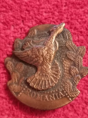 Insigna vanatoare - AGVPS ROMANIA Trofeu Fazan foto
