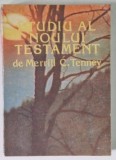 STUDIU AL NOULUI TESTAMENT de MERRILL C. TENNEY , 1992