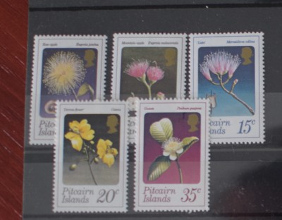 TS24/01 Timbre Pitcairn Island Nestampilat Flora foto