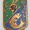Insigna VANATOARE si Pescuit - AJVPS - CLUJ - 1970
