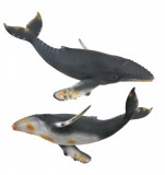 Balena cu cocoasa - Animal figurina, Collecta