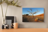 Tablou Canvas, "Copaci singuratici &icirc;n deșertul roșu", Deșert, Arbore, Cer, Dune, Umbre, Solitudine, Peisaj, Uscăciune, Natură, Tranquilitate, 39 x 26