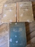 Anatomia Patologica - A. I. Abricosov - Partea I, a II-a si partea speciala