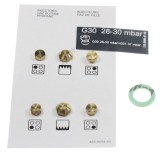 SET DUZE GAZ PROPAN/ BUTAN G30 30MBAR 4431910051 pentru aragazuri si plite ARCELIK / BEKO