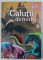 Foto  - 1