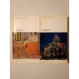 Vincent Van Gogh - Scrisori (2 vol.)