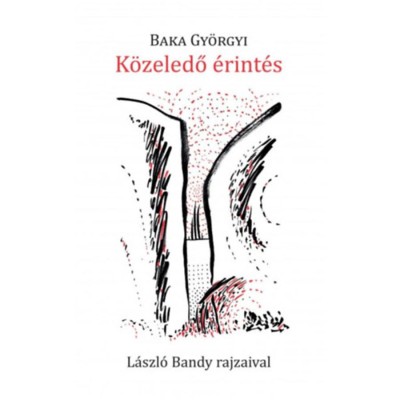 K&amp;ouml;zeledő &amp;eacute;rint&amp;eacute;s - Baka Gy&amp;ouml;rgyi foto