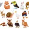 Sticker Animale - 30x90 cm