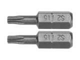 Biti 1/4''X25Mm Torx T15, 2 Buc