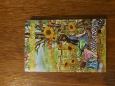 Povestitoarea - Lucy Maud Montgomery foto