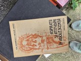 Aspirații și atitudini &icirc;n adolescenta vintage