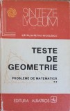 TESTE DE GEOMETRIE. PROBLEME DE MATEMATICA VOL.2-CATALIN PETRU NICOLESCU-256024