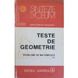 TESTE DE GEOMETRIE. PROBLEME DE MATEMATICA VOL.2-CATALIN PETRU NICOLESCU-256024