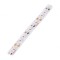 Bandă LED alb cald 24V 10mm IP20 9,6W/m
