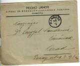 A4509N Pech&oacute; J&aacute;nos, Cip&eacute;sz &eacute;s Bőrk&uuml;l&ouml;nlegess&eacute;gek rakt&aacute;ra, Pankota/P&acirc;ncota, plic cu antet circulat P&acirc;ncota-Arad, 1912