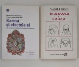 Geshe Sonam Rinchen Karma si efectele ei / Vasili Goci Karma si cauza