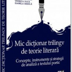 Mic dictionar trilingv de teorie literara - Simona Antofi, Elena Constandache, Nicoleta Ifrim, Viorica Isaia, Isabela Merila