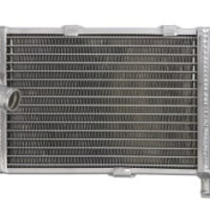 Radiator compatibil: APRILIA TUONO 1000 2002-2005