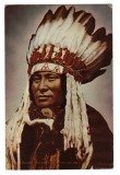 INDIENI HUNKPAPA
