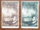 Cărți poștale vechi &bdquo;&Icirc;n Moldova&rdquo; &ndash; A. Verona | Editura Cartea Rom&acirc;nească | Anii &rsquo;50&ndash;&rsquo;60, Necirculata, Printata