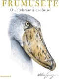 Cumpara ieftin Frumusete. O celebrare a evolutiei/William Spring
