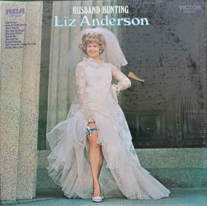 Disc vinil, LP. HUSBAND HUNTING-LIZ ANDERSON-251983