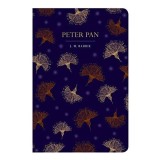 Peter Pan (Chiltern Classic)