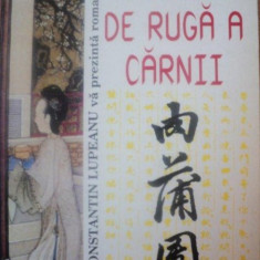 ROGOJINA DE RUGA A CARNII de QUIG YIN XIANSHENG , 1996