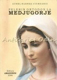 Pelerin Ortodox la Medjugorje - Aurel Hasnes-Ciurdariu, Editura Amadoros, 2006, Carte Religioasa