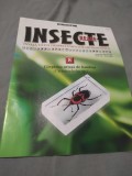 REVISTA INSECTE REALE NR.8 GARGARITA URIASA DE BAMBUS DOAR REVISTA